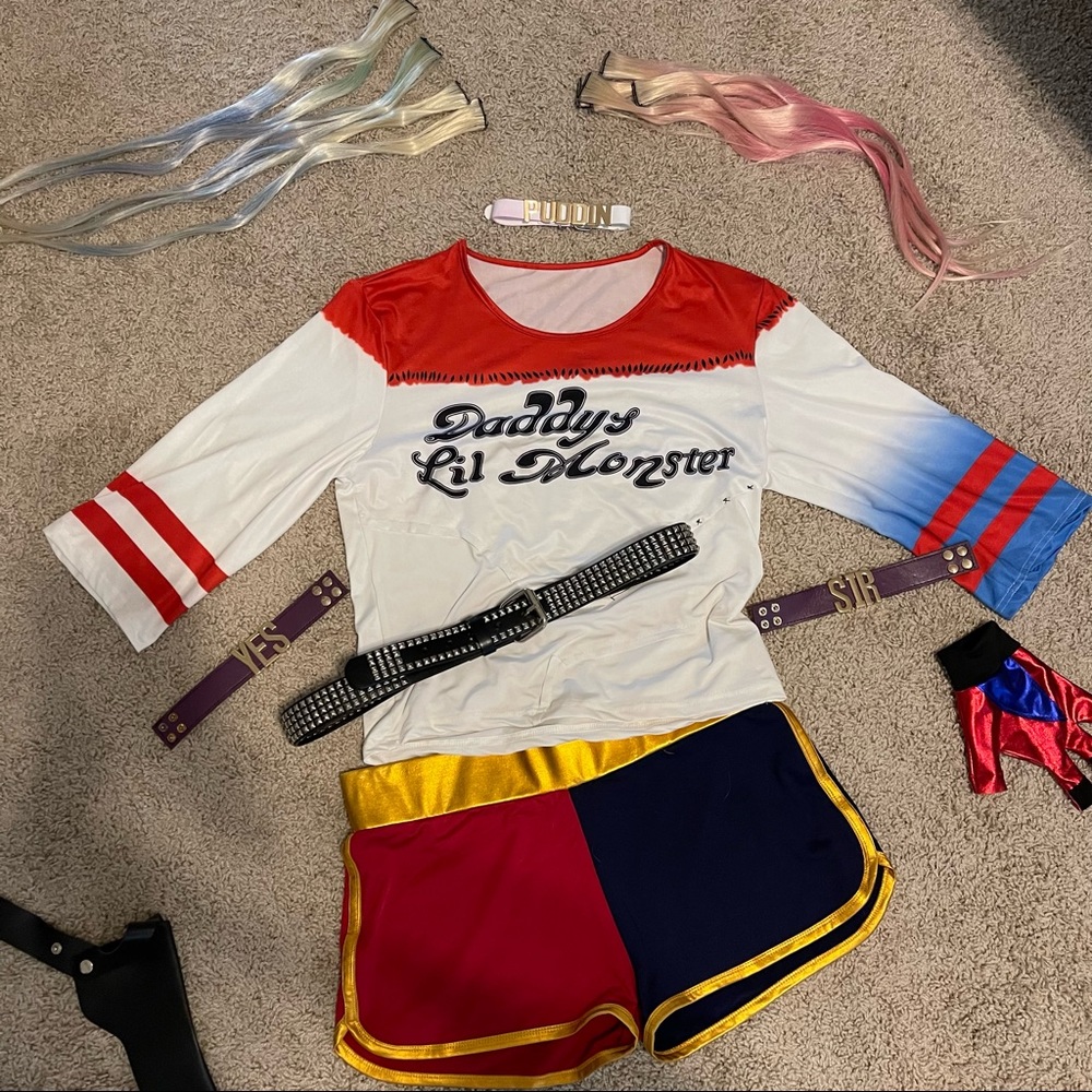 Harley Quinn Costume (near complete)